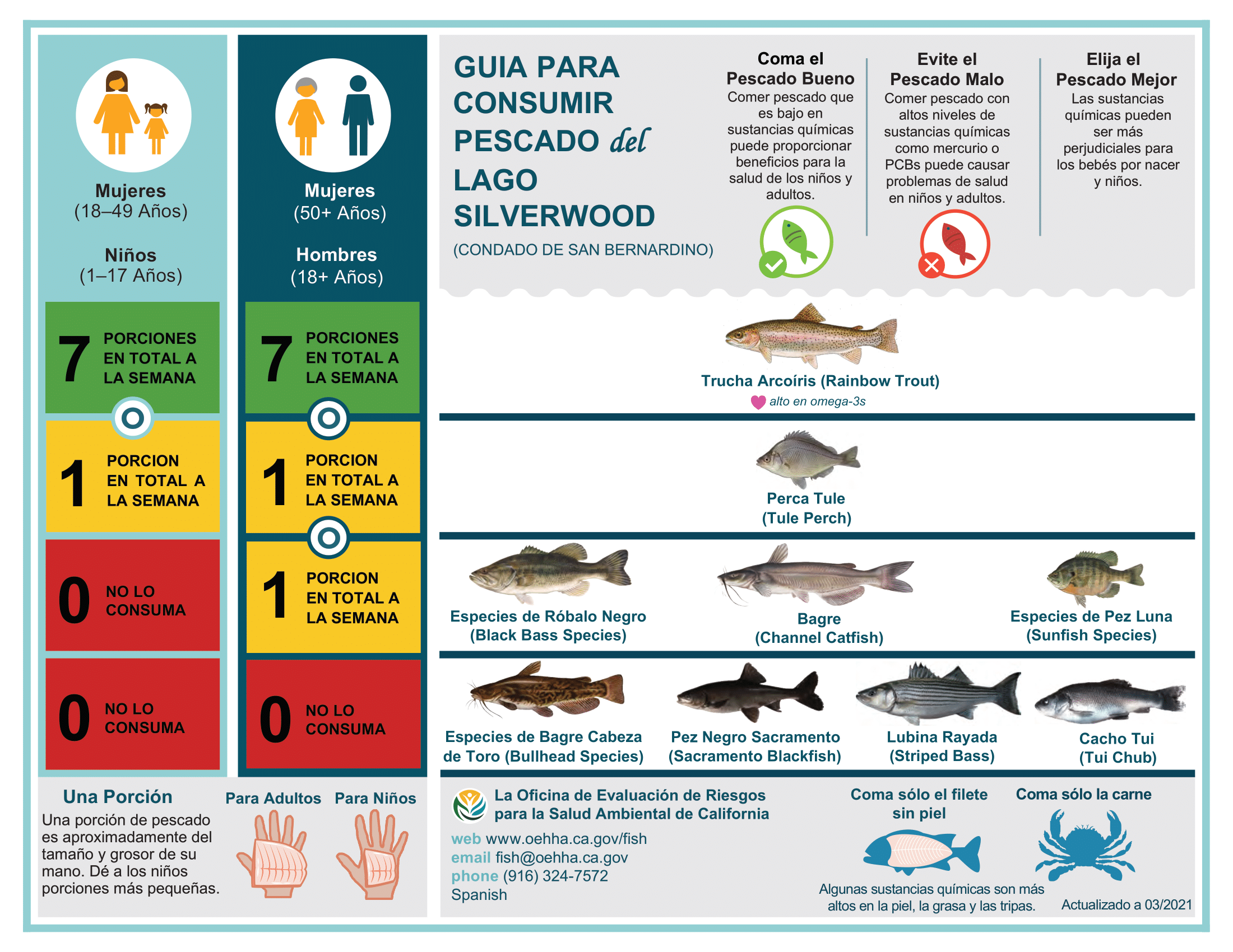  Aviso de pescado seguro para comer en Silverwood Lake